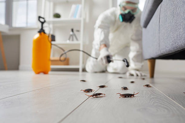 Trusted Cockroach Control service in Valley Center, KS - Nex Pest Control