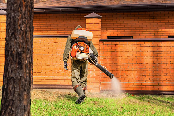 Trusted Termite Control service in Valley Center, KS - Nex Pest Control